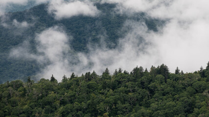 Foggy Morning in the Valleys of the Appalachian Mountains View from The Blue Ridge Parkway