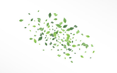 Lime Greenery Abstract Vector White Background 