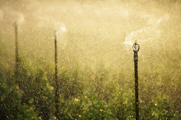 spraying water sprinkler