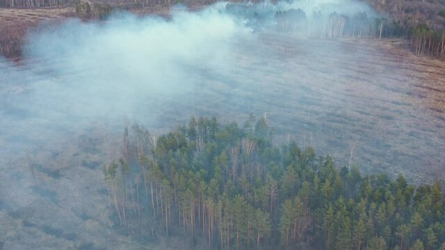 Aerial View. Spring Dry Grass Burns During Drought Hot Weather. Bush Fire And Smoke In Meadow Field. Wild Open Fire Destroys Grass. Nature In Danger. Ecological Problem Air Pollution. Natural Disaster