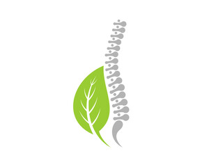 Healthy spine with herb medical leaf logo