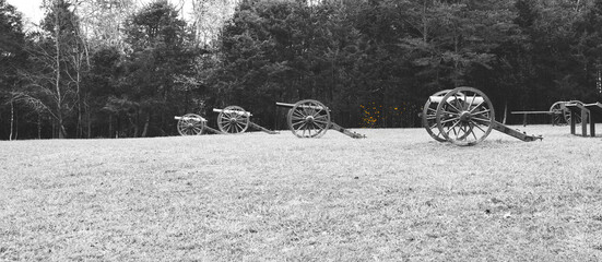 American Civil War battlefield, in black and white with a color splash of yellow from the leaves.