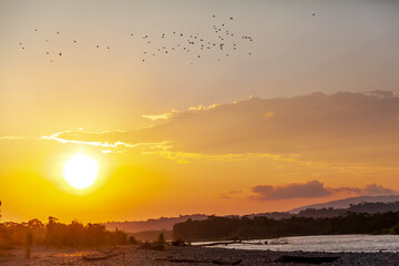 Stunning sunset in Amazon rainforest jungle