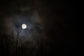 Mond über Herbstwald mit Wolken