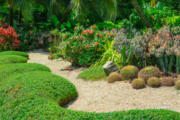 Cactus garden, decorated with Cactuses, brown pebble, green leaf plant and shrubs