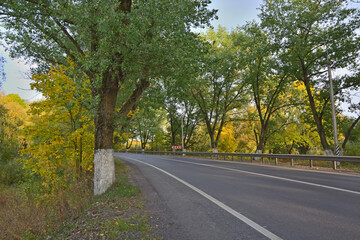 Asphalt road without cars with autumn trees on the sides