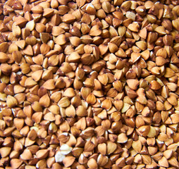 background of buckwheat