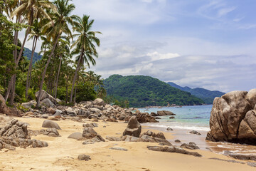 Beautiful tropical coast landscape with palm and pacific ocean en Mexico