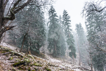 Winter lanscape of Parvati valley with mild snowfall at Himachal Pradesh, Inia