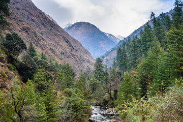 Fototapeta premium The lush green Tirthan valley 