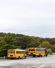 parked school buses