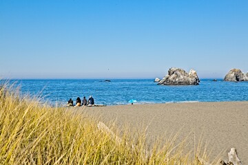 Beautiful Sonoma Coast - Jenner, CA