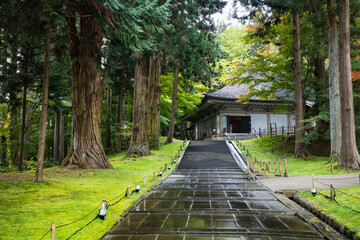 日本の世界遺産　雨の中尊寺金色堂覆堂の紅葉