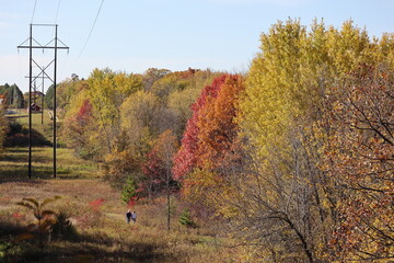 couple walking in the park in autumn
