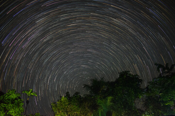 Star Trails round the Pole Star with trees