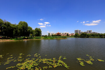 Obraz premium Summer Landscape of Waterfront City, Tangshan City, China