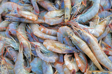 Piles of frozen prawns