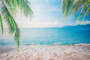 Beach background with ocean and palm trees