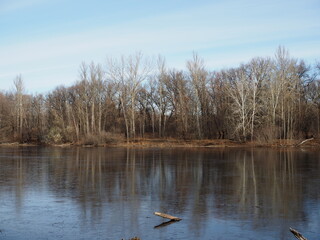 Late autumn. The first ice on the forest lake. The hummocks are covered with a thin layer of snow, the ice is very thin