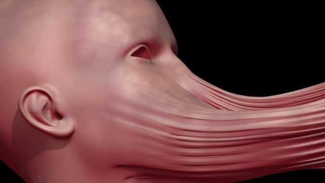 Dark side of CRISPR. Genetically engineered human clones dividing. Conjoined twins. People connecting fused together . Genetic mutations. Human cloning . Aliens hybrids. 3d animation rendering