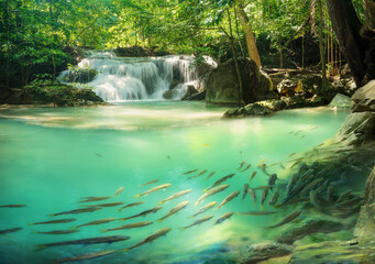 Erawan Waterfall, Kanchanaburi Province Thailand, natural waterfalls, beautiful green forests, with fish in the water as a foreground.