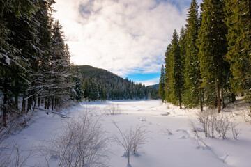 snow covered mountain lake among the forest. green spruce trees on the shore. beautiful sunny weather. clouds on the sky