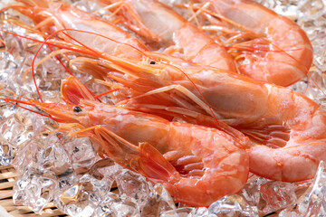 新鮮な海老