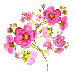 Obraz premium Watercolor delicate spring flowers with buds