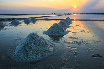 Landscape of Salt Farms in Thailand