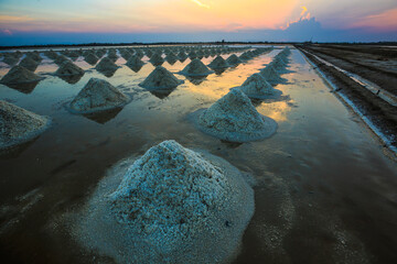Landscape of Salt Farms in Thailand