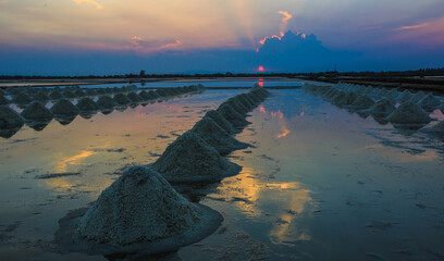 Landscape of Salt Farms in Thailand