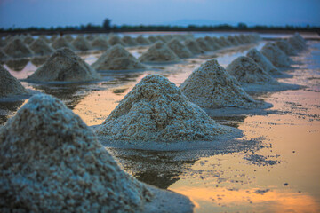 Landscape of Salt Farms in Thailand