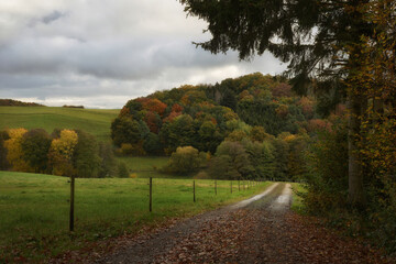 Herbst in der Eifel