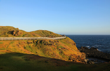 The boardwalk in The Nobbies - Phillip Island, Victoria, Australia