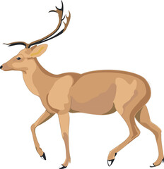 Naklejka na ściany i meble Illustration of a deer