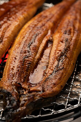 うなぎの蒲焼 七輪炭火焼