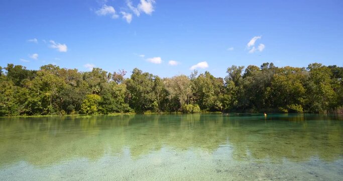 Alexander Springs Ocala Florida USA 4k panning video