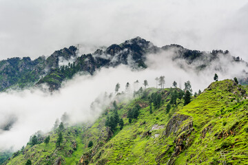 Obraz premium Majestic Himalayan mountains covered with lush green forest and clouds in monsoon 