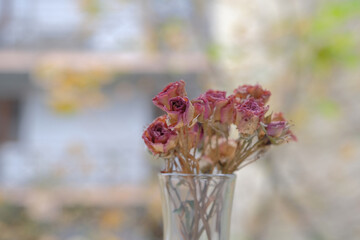 Bouquet of dry roses. small dry roses in a glass shot