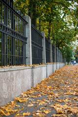 gold autumn alley with fence in the city park 