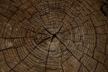 Fototapeta premium Aged wood texture, chips, cracks, nails in the surface, splinters, slats for construction, wooden canvases, beams with a relief, hollow, photophone for screensaver and printing