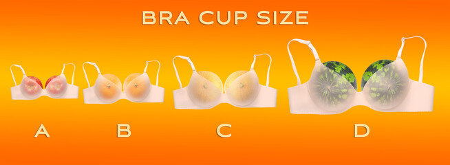 Underwear with different fresh fruits and text BRA CUP SIZE on color background