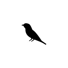 Bird logo template, animal design vector icon illustration
