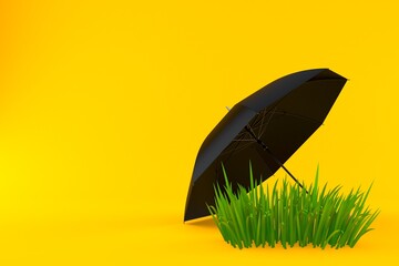 Umbrella on grass