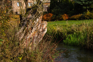 Fototapeta na wymiar Landscape with a tree trunk by the river in an autumn day.
