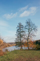 Obraz premium Beautiful autumn landscape with a river and a forest.