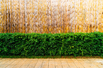 tree with bamboo background