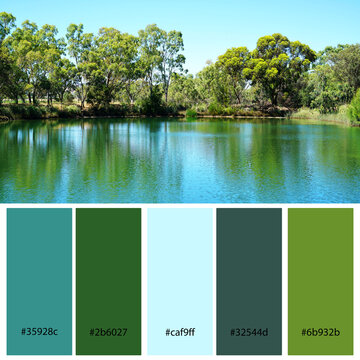 Designer Color Palette inspired by the idyllic still water lake and gum trees taken in South Australia. Designer pack with photograph and swatches with hex codes references.
