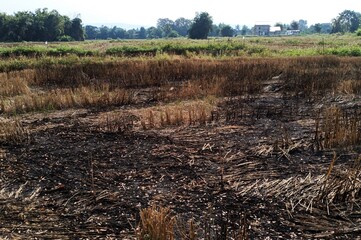 Plowed field in autumn