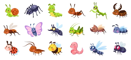 Foto op Plexiglas Cute cartoon insects. Funny little insect characters set baby snail, smile spider and caterpillar, little ant, colorful butterfly and comic dragonfly, vector isolated collection © YummyBuum